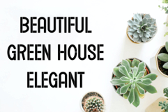 Elegant Dresses Product Image 8