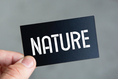 Elegant Dresses Product Image 5