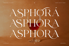 Merona Island | Ligature Serif Product Image 2