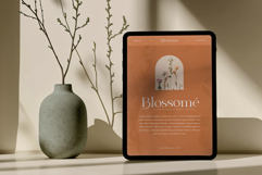 Merona Island | Ligature Serif Product Image 3