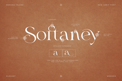 Merona Island | Ligature Serif Product Image 10