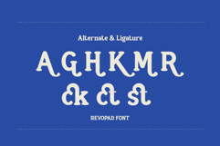 Revopad Product Image 9