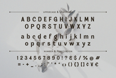 Magnes Product Image 2
