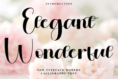 Elegant Wonderful Product Image 1