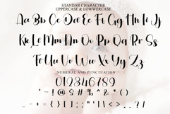 Elegant Wonderful Product Image 4