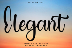 Elegant Product Image 1