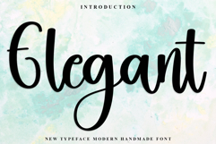 Elegant Product Image 1
