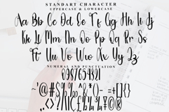 Elegant Product Image 4