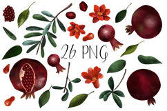 Hand Painted Pomegranate Botanical Clipart Set PNG Product Image 2