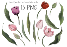 Hand Painted Tulip Flower PNG Clipart | Sublimation Design Product Image 2