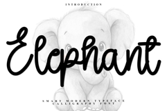 Elephant Product Image 1