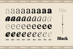 Elfreya - Elegant Branding Font Product Image 14