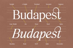 Elfreya - Elegant Branding Font Product Image 3