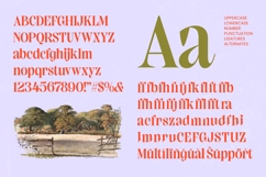 Elinkos - Bold Tall Serif Product Image 6