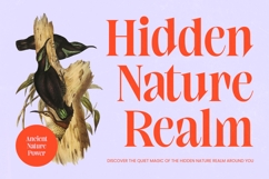 Elinkos - Bold Tall Serif Product Image 9