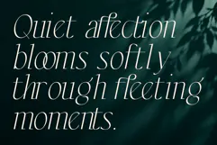 Elesthin Bloom - Elegance Display Serif Font Product Image 2