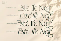 Elesthin Bloom - Elegance Display Serif Font Product Image 9