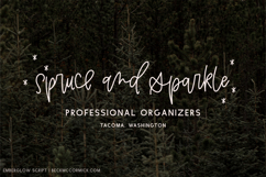 Emberglow Script Product Image 2