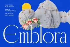 Emblora - Modern Display Serif Product Image 1