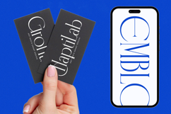 Emblora - Modern Display Serif Product Image 5