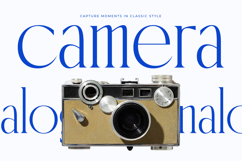 Emblora - Modern Display Serif Product Image 11