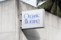 Emblora - Modern Display Serif Product Image 17