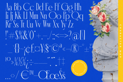Emblora - Modern Display Serif Product Image 18