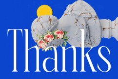 Emblora - Modern Display Serif Product Image 20