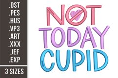 Not Today Cupid | St. Valentine's Day Embroidery Design Product Image 1