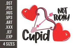 Not Today Cupid | St. Valentine's Day Embroidery Design Product Image 1