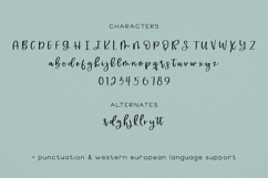 Emptynest Script Product Image 10