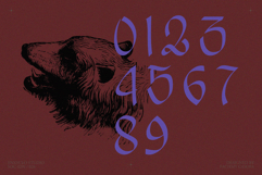 EMXAGE ALDSYB Blackletter Font Product Image 14
