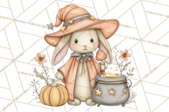 Woodland Witch Animals Clipart, Whimsical Halloween PNG Product Image 3