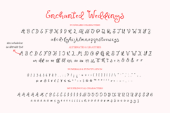 Enchanted Weddings Handwritten Script Font Wedding Font Product Image 30
