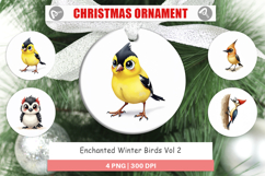 Enchanted Winter Birds Ornament Product Image 1