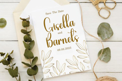 Enchanting Dandilion Product Image 8