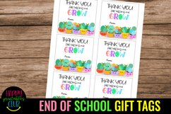 END OF SCHOOL YEAR TAGS