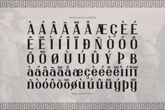 Enda Danila | Decorative Display Product Image 11