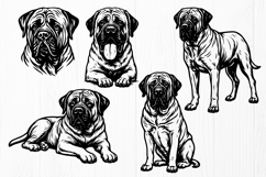 English Mastiff SVG Bundle 10 Dog Designs | Mastiff Clipart Product Image 2