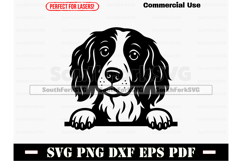 Peeking English Springer Spaniel Dog SVG PNG DXF EPS PDF Product Image 1