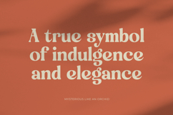 Engray Danton - Modern Alternate Serif Font Product Image 3