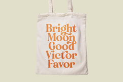 Engray Danton - Modern Alternate Serif Font Product Image 4