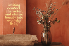 Engray Danton - Modern Alternate Serif Font Product Image 7