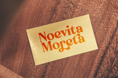 Engray Danton - Modern Alternate Serif Font Product Image 9