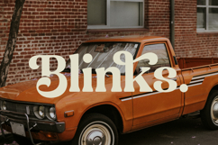 Engray Danton - Modern Alternate Serif Font Product Image 11