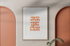 Engray Danton - Modern Alternate Serif Font Product Image 12