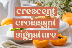 Engray Danton - Modern Alternate Serif Font Product Image 14