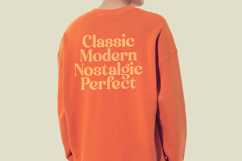 Engray Danton - Modern Alternate Serif Font Product Image 16