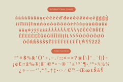 Engray Danton - Modern Alternate Serif Font Product Image 19