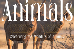 Enigmatic Legendary Product Image 7